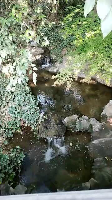 雷竞技比分